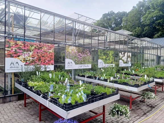 Afbeelding van de werkplek '- Boomkwekerij & Plantencentrum Menkveld - Assistent Medewerker Plantencentrum'.