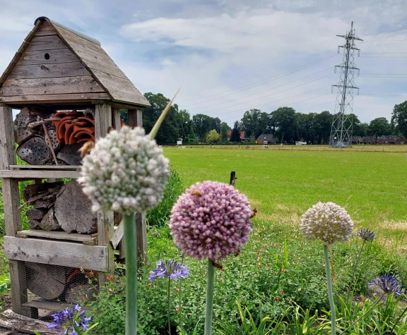 Afbeelding van de werkplek 'Iriszorg - Het Hoogeland Beekbergen'.