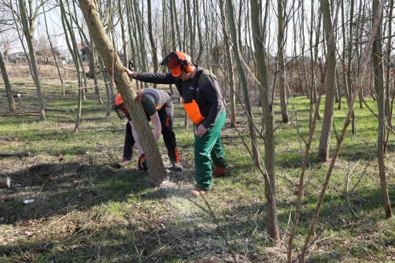 Afbeelding van de werkplek 'Campus Centrum'.