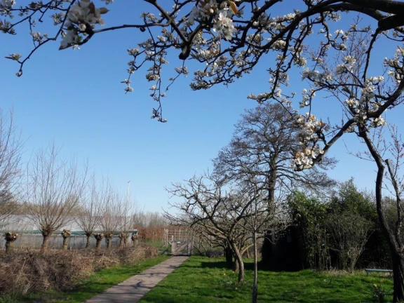 Afbeelding van de werkplek 'StadsAkkers - Werken op de akkers'.