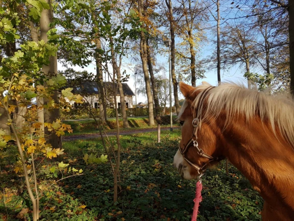 Afbeelding van de werkplek 'Zorgboerderij De Aanloop'.